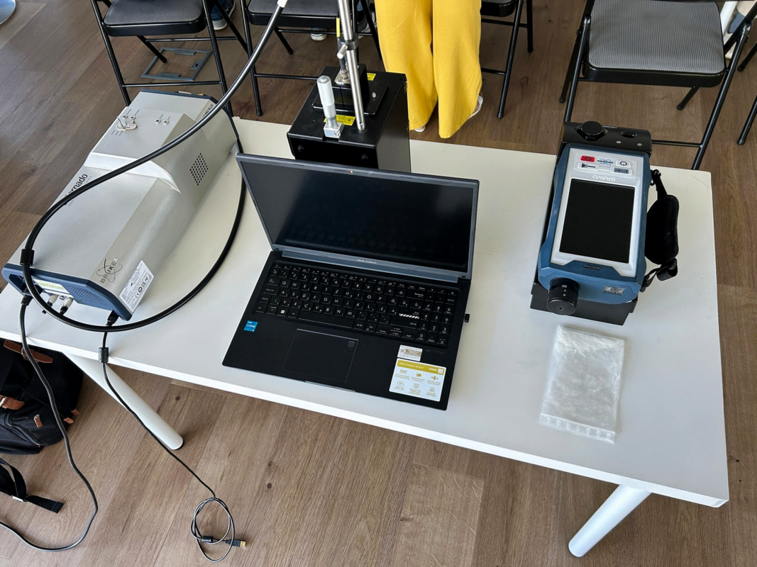 Bruker Raman